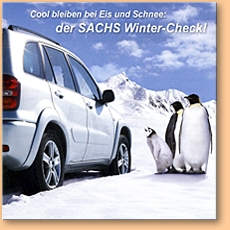 Sachs-Wintercheck 2010